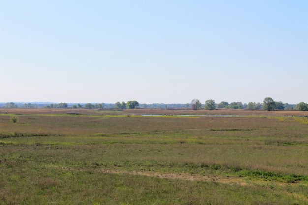 Prairie verte et ciel bleu