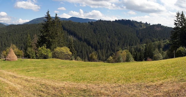 Prairie verte de montagne d'été avec pile de foin