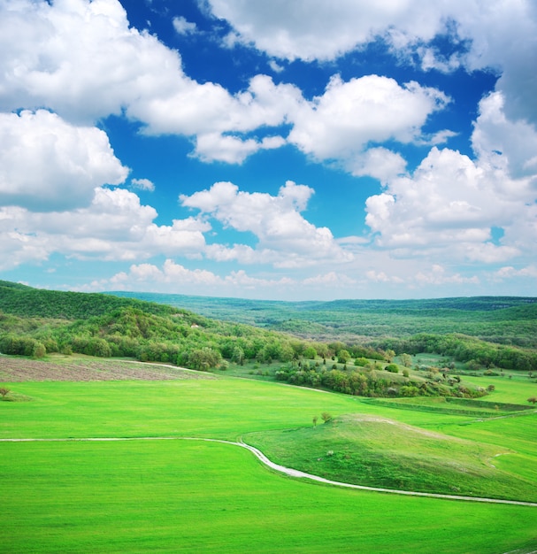 Prairie verte en montagne