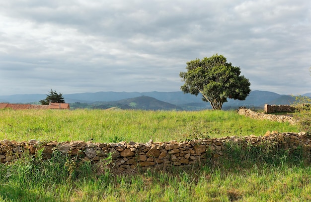 Prairies sur la côte du golfe de Gascogne en Espagne