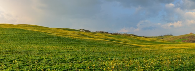 Photo prairies fleuries de printemps en toscane italie