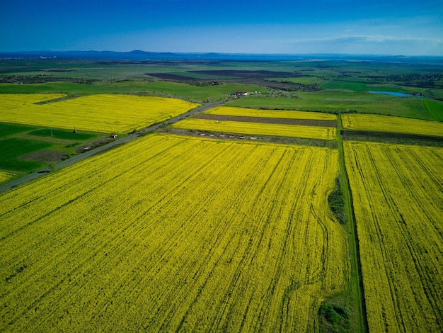 Prairies avec une plante dans une vallée avec des champs sur fond de ciel diurne en Bulgarie