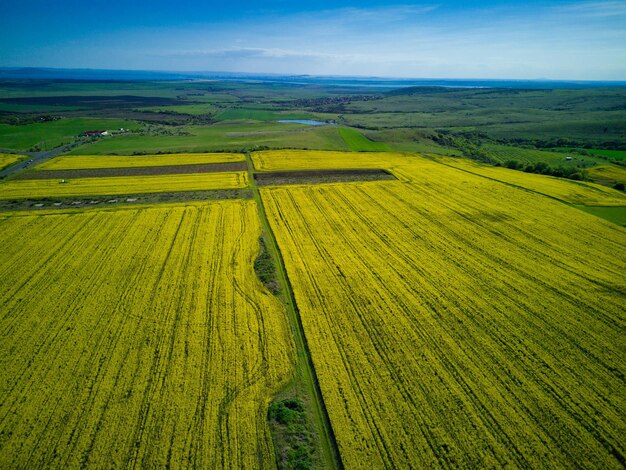 Prairies avec une plante dans une vallée avec des champs sur fond de ciel diurne en Bulgarie