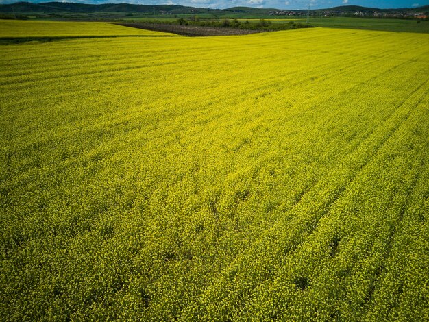 Prairies avec une plante dans une vallée avec des champs sur fond de ciel diurne en Bulgarie