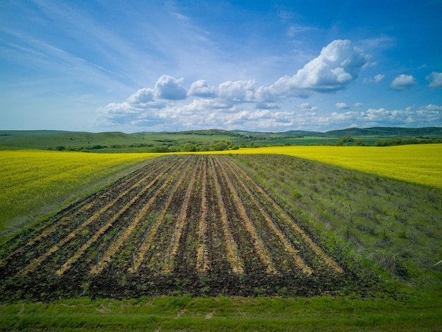 Prairies avec une plante dans une vallée avec des champs sur fond de ciel diurne en Bulgarie