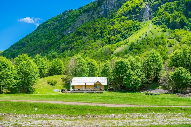 Prairies verdoyantes pittoresques près des grandes hautes montagnes