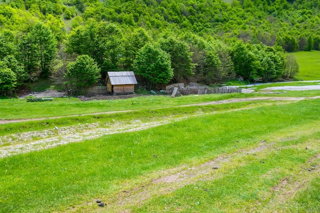 Prairies verdoyantes pittoresques près des grandes hautes montagnes