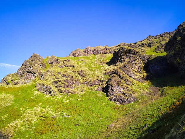 Des prairies vertes et un ciel bleu en Inde