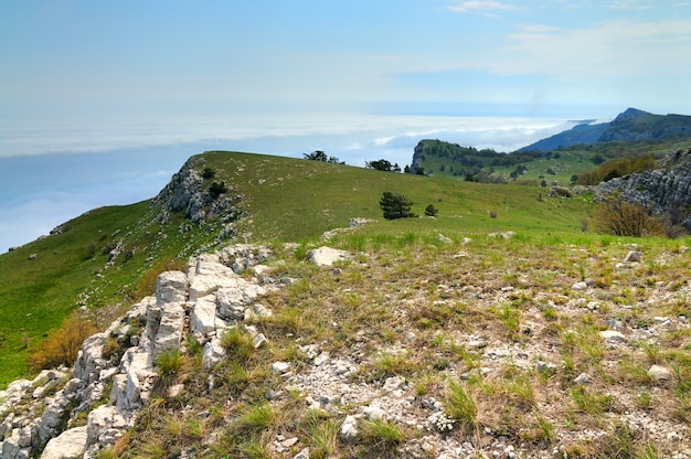 Pré avec de l'herbe verte parsemée de pierres et de rochers