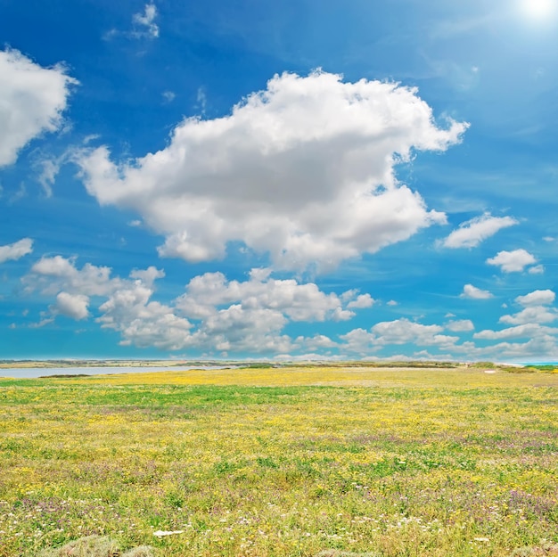 Pré jaune et vert sous un ciel dramatique