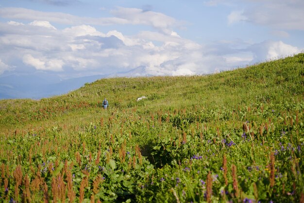 Un pré de montagne vert et une petite figure d'un homme marchant le long du chemin