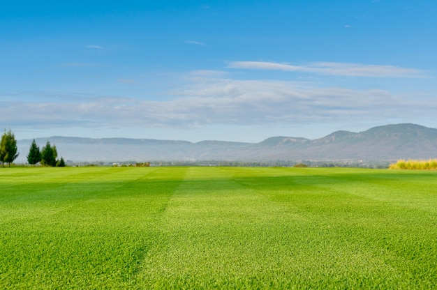 Pré vert et ciel bleu. Paysage naturel avec champ d'herbe verte.