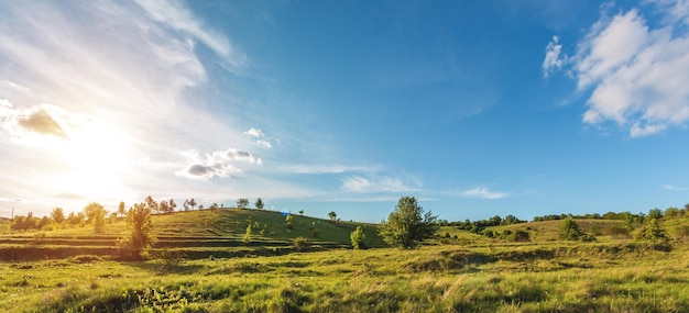 Pré vert avec des collines et des arbres en Ukraine