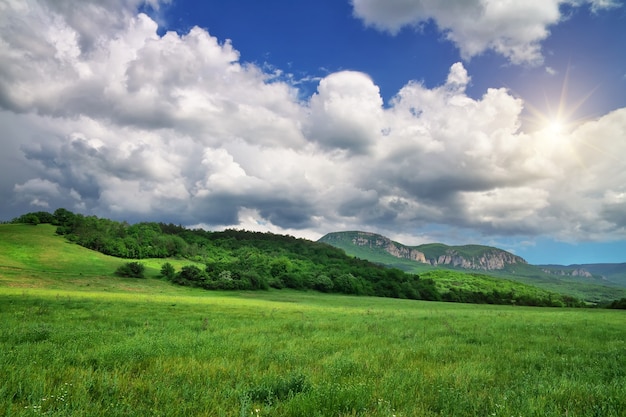 Pré vert en montagne. Beau paysage