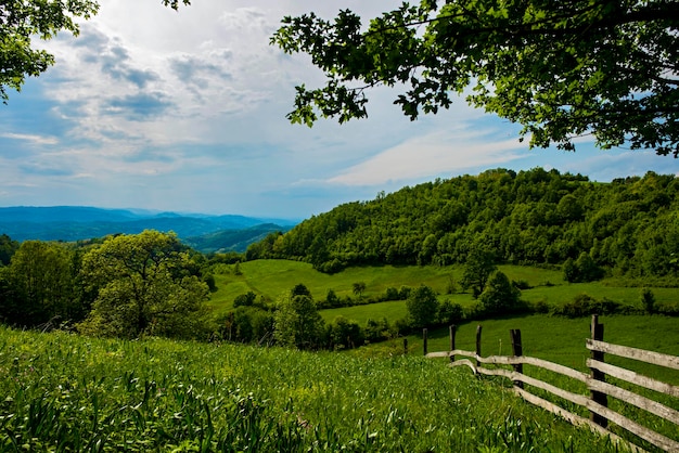 Photo pré vert sur la montagne serbe