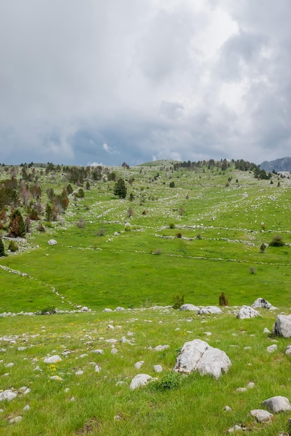 Un pré vert pierreux parmi les montagnes par temps nuageux