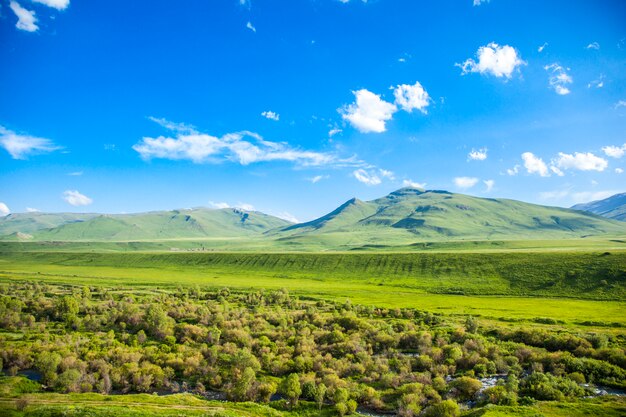 Pré vert sous un ciel bleu