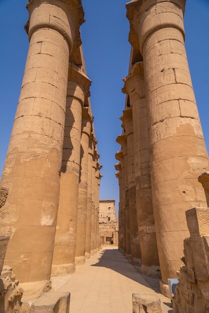 Précieuses colonnes avec d'anciens dessins égyptiens dans le temple de Louxor, Egypte