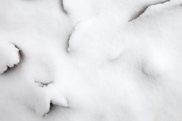 Première neige sur les feuilles brunes tombées à la fin de l'automne ou au début de l'hiver fond d'hiver