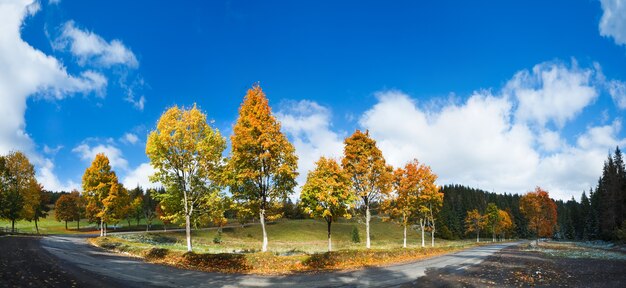 Première neige d'hiver et arbres colorés d'automne près de la route de campagne