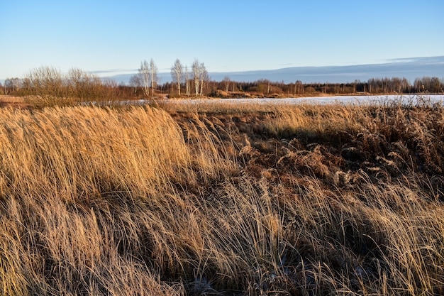 Première neige sur le terrain au coucher du soleil