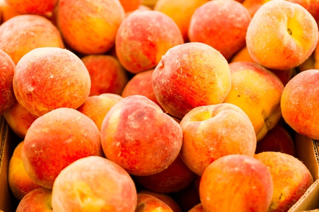 Premières pêches de la saison au marché fermier local.