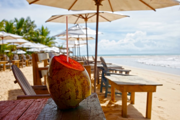 Prendre de la noix de coco verte sur la plage de Porto Seguro, Trancoso, Brésil