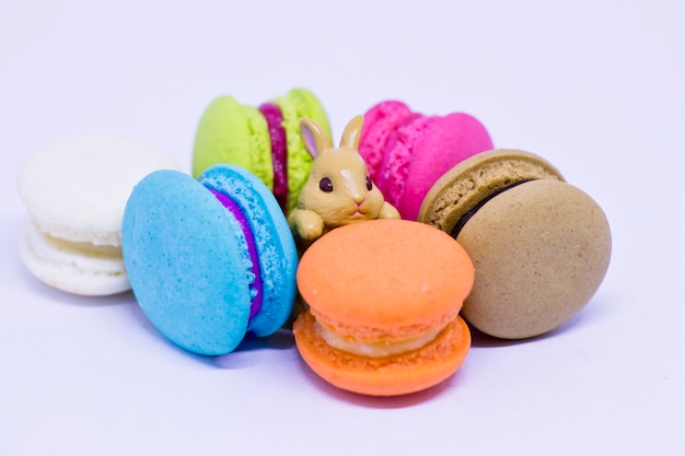 prendre une pause déjeuner avec macaron et lapin miniature