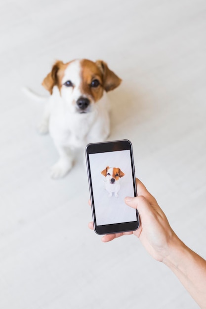 Prendre une photo de chien à la main sur un téléphone portable