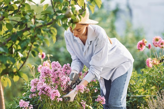 Prendre soin des fleurs Jeune femme joyeuse est dans le jardin pendant la journée