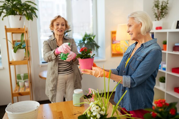 Prendre soin des plantes. Femme âgée positive tenant un jet d'eau tout en l'utilisant pour l'arrosage des fleurs