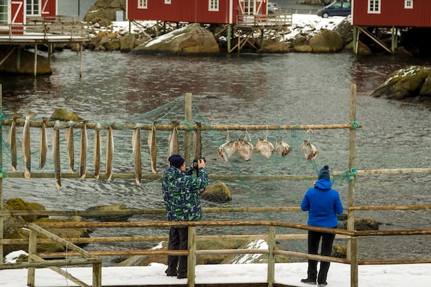 Prenez des photos de morue séchée dans un village de pêcheurs