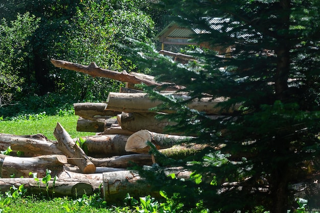 préparation de bois de chauffage pour la saison de chauffage, matières premières écologiques pour le chauffage