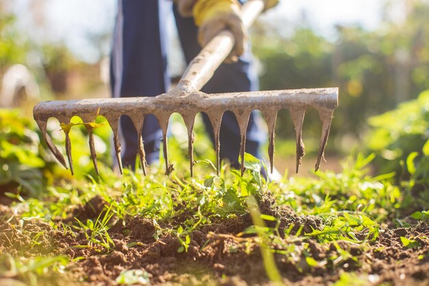 Préparation d'un champ agricole pour la plantation de légumes et de fruits de saison au printemps Concept de travail saisonnier de jardin