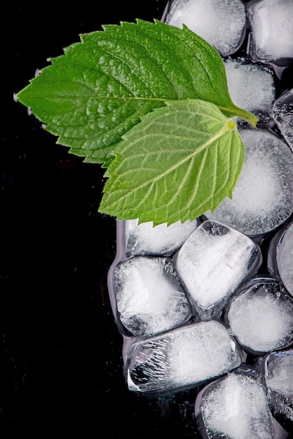 Préparation du cocktail Ice cube avec des feuilles de menthe sur fond noir