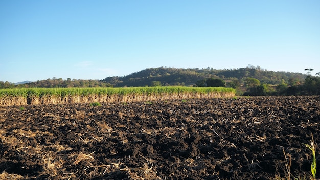 Préparation du sol pour l&#39;agriculture dans les zones rurales