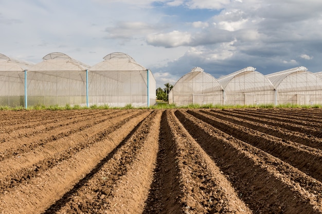 Photo préparation du sol pour l'ensemencement des légumes en agriculture de plein champ.