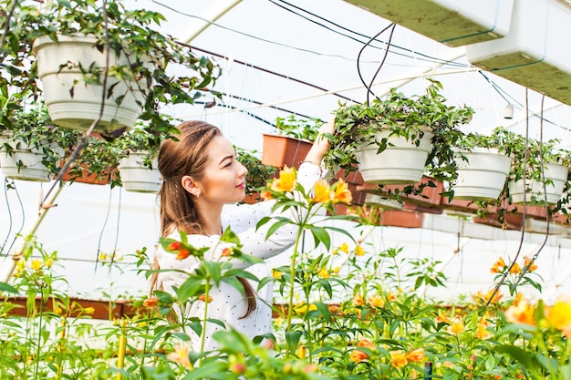 Préparation des plantes à vendre