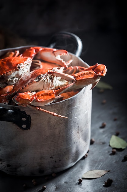 Préparation pour crabe savoureux dans une vieille marmite en métal
