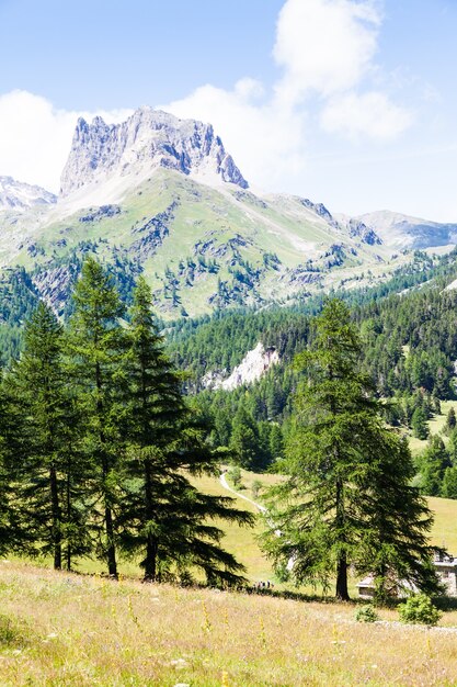 Près de Bardonecchia, région du Piémont, Italie. Un panorama de montagne lors d'une journée ensoleillée en saison estivale.