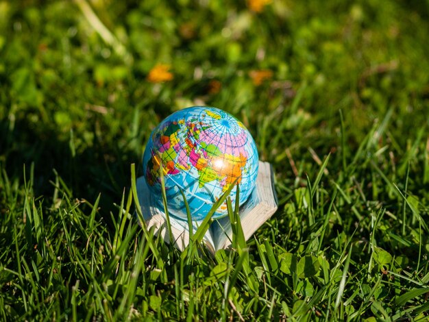 Photo près d'un parapluie multicolore sur le terrain