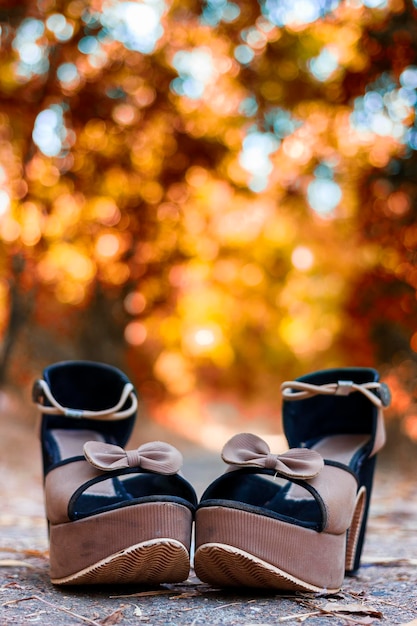 Photo près de vue des chaussures