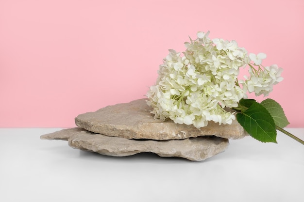 Présentation du produit des branches d'hortensias à fleurs sur le podium Résumé fond rose géométrique en pierre