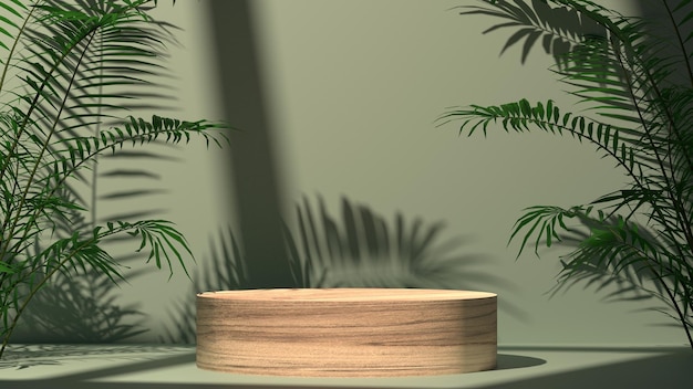 Présentoir en bois vide 3D avec podium minimal de plantes tropicales et lumière naturelle du soleil depuis la fenêtre