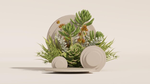 Photo présentoir cosmétique podium en pierre avec des feuilles de la nature sur fond blanc succulentes et cactus