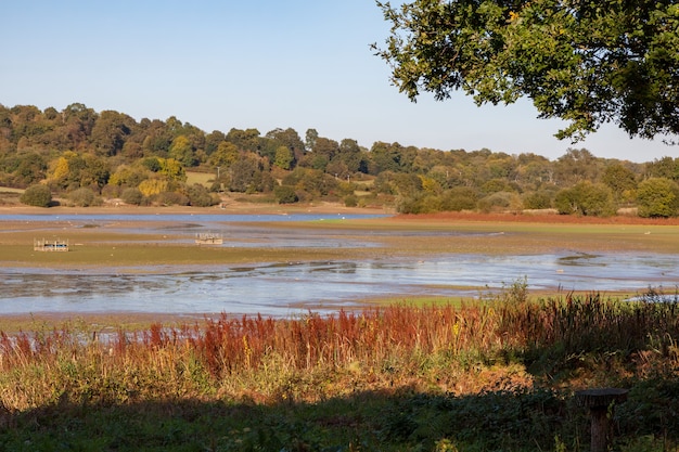 Presque pas d'eau dans le réservoir en bois de Weir