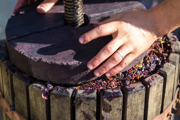 Pressoir avec moût rouge et vis hélicoïdale Les mains des vignerons se bouchent