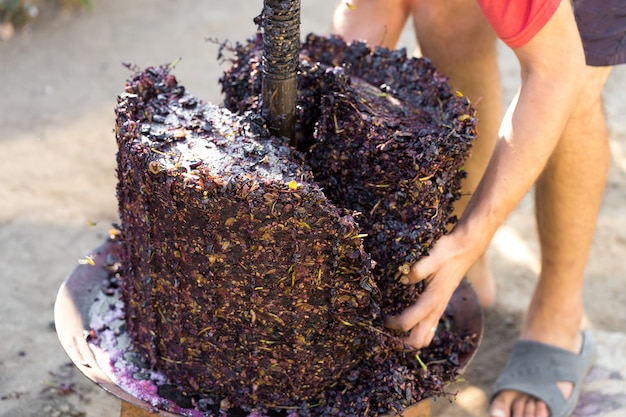 Pressoir à moût rouge et vis hélicoïdale. Production de vins italiens traditionnels, foulage des raisins.