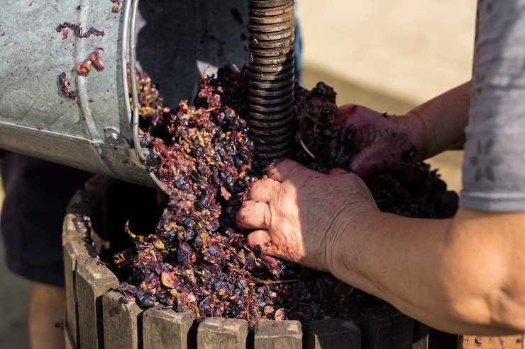 Photo pressoir à moût rouge et vis hélicoïdale production de vins italiens traditionnels
