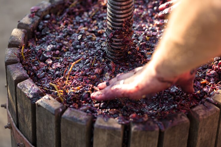 Photo pressoir à moût rouge et vis hélicoïdale production de vins italiens traditionnels